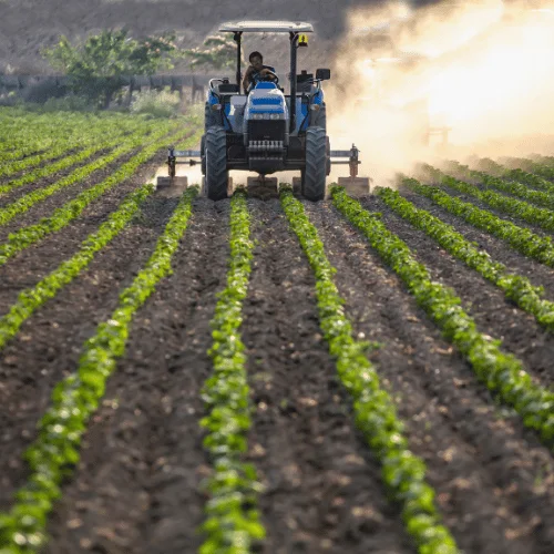 Agricultura